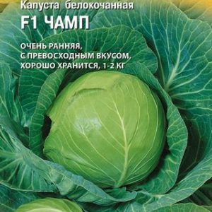 Капуста белокоч. Чамп F1 10 шт. ранняя (Голландия)