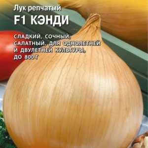 Лук репч. Кэнди F1 0,2 г (Голландия)