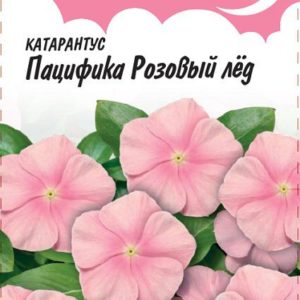Катарантус Пацифика Розовый лед* 7 шт. серия Розовые сны Н13