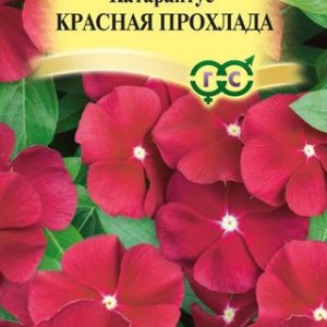 Катарантус Красная прохлада* 7 шт. сер. Элитная клумба Н13