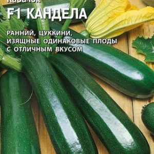 Кабачок Кандела F1 5 шт. (Саката) Н14