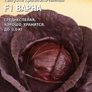 Капуста краснокоч. Варна F1 15 шт. (Саката) Н14
