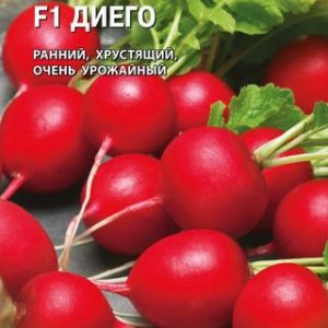 Редис Диего 0,5 г (Голландия) Н14