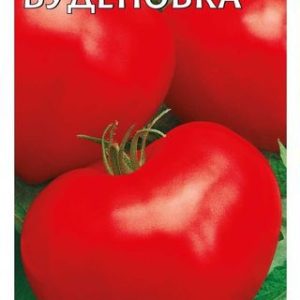 Томат Буденовка* 0,1 г Н13