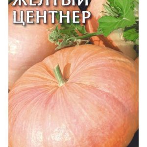 Тыква Желтый центнер 2,0 г Н14