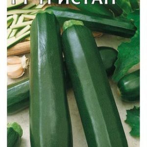 Кабачок Тристан F1 5 шт. (Германия) Н14