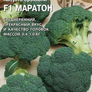 Капуста брокколи Маратон F1 15 шт. (Саката) Н14