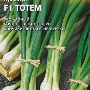 Лук батун Тотем 0,5 г на зелень! (Саката) Н14