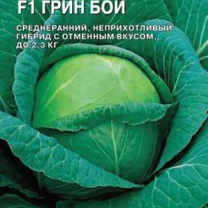 Капуста белокоч. Грин Бой F1 20 шт. для квашения (Саката) Н14