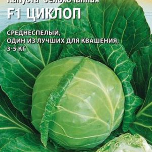 Капуста белокоч. Циклоп F1 20 шт. для квашения (Саката) Н14