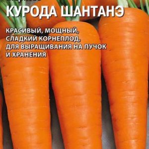 Морковь Курода Шантанэ 1,0 г (Саката) Н14