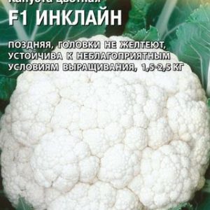 Капуста цветная Инклайн F1 15 шт.(Саката) Н14