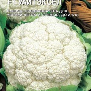 Капуста цветная Уайтэксел F1 15 шт.(Саката) Н14