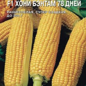 Кукуруза Хони Бэнтам 78 дней 3 г (Саката) Н14