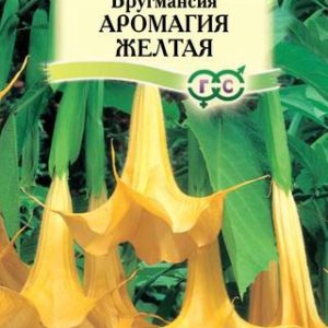 Бругмансия Аромагия желтая 3 шт. Н14