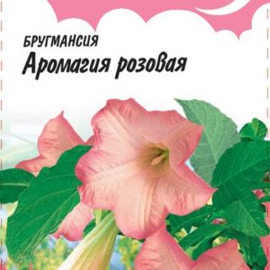 Бругмансия Аромагия розовая 3 шт. Н14 , серия Розовые сны
