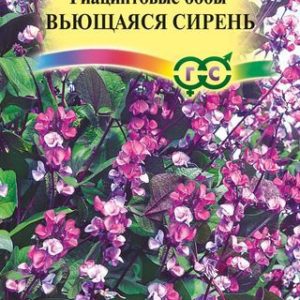 Гиацинтовые бобы Вьющаяся сирень 1,0 г Н14