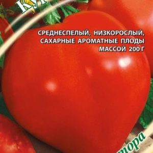 Томат Курносик 0,1 г автор.