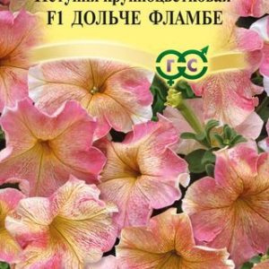 Петуния Дольче Фламбе F1 крупноцв. 10 шт гранул. пробирка Н14