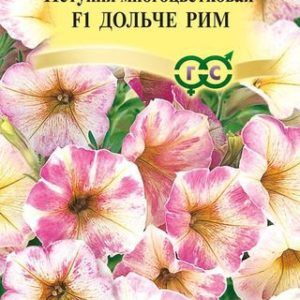 Петуния Дольче Рим F1 многоцв. 10 шт гранул. пробирка Н14