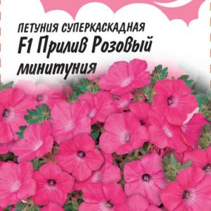 Петуния Прилив Розовый F1(Минитуния) суперкаскад. 5 шт. гранул. проб. серия Розовые сны Н14