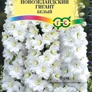 Дельфиниум супермахровый Новозеландский гигант белый* 3 шт. Н14