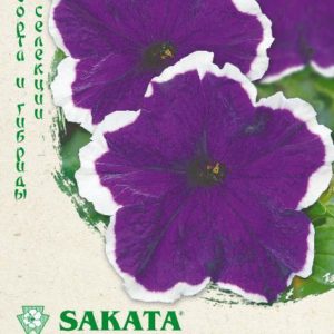 Петуния Хулахуп голубой F1 крупноцв. 10 шт гранул. пробирка серия Саката Н14