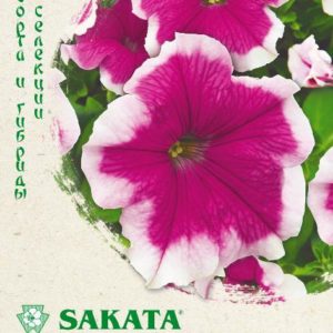 Петуния Хулахуп вельвет F1 крупноцв. 10 шт гранул. пробирка серия Саката Н14