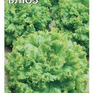 Салат Блюз 0,5 г, листовой