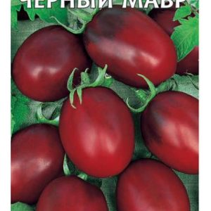 Томат Черный мавр 0,1 г Н14