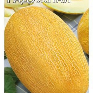 Дыня-торпеда Радужная (Прима) 1,0 г