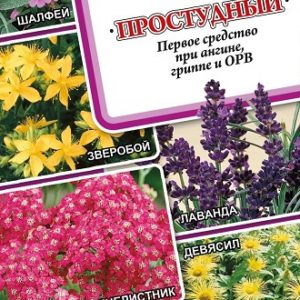 Лекарственный огород Простудный* 0,7 г Н14