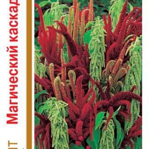 Амарант Магический каскад, смесь* 0,5 г серия 1+1