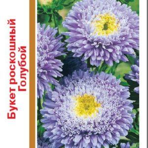 Астра Букет роскошный голубой 0,5г, серия 1+1 Н14