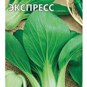 Капуста китайская Восточный экспресс 1 г Н14