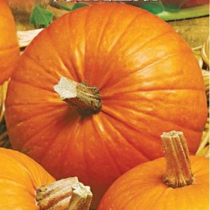 Тыква Матрешка 1 г серия Русский вкус!