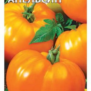 Томат Апельсин 0,05 г Н14