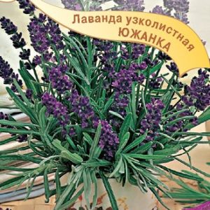 Лаванда узколистная Южанка 0,2 г