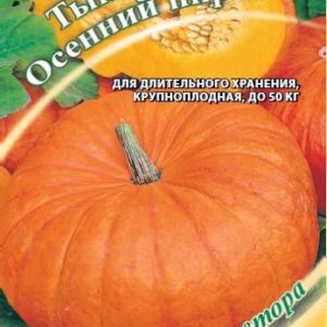 Тыква Осенний пирог 2,0 г автор. Н14