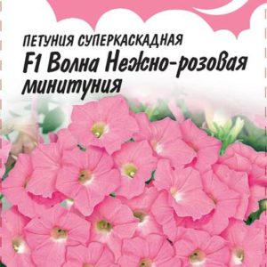 Петуния Волна Нежно-розовая F1 (Минитуния) суперкаскад. 5 шт. гранул. проб. Н15 серия Розовые сны