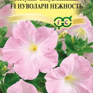 Петуния Нуволари Нежность F1 каскадная 5 шт. гранул. проб. Н14