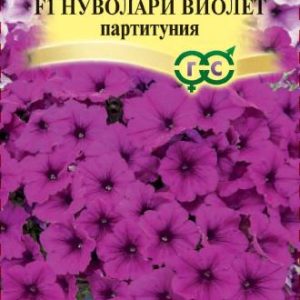 Петуния Нуволари Виолет F1 каскадная 5 шт. гранул. проб. Н14