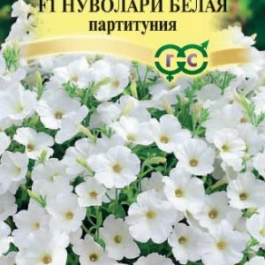 Петуния Нуволари Белая F1 каскадная 5 шт. гранул. проб. Н14