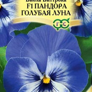 Виола Пандора голубая луна F1 Виттрока (Анютины глазки)* 5 шт. Италия Н14