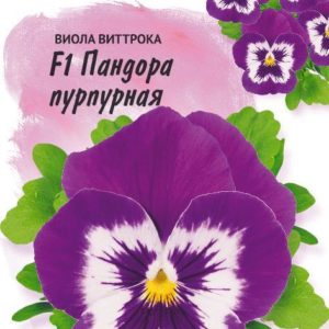 Виола Пандора пурпурная F1 Виттрока (Анютины глазки)* 5 шт. серия Фарао Н15