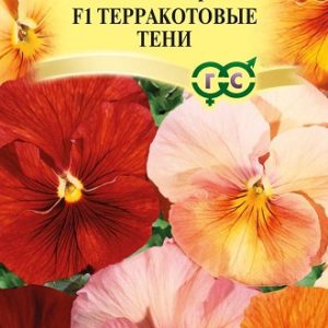 Виола Терракотовые тени F1 Виттрока (Анютины глазки)* 5 шт. Италия Н14