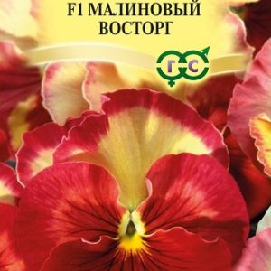 Виола Малиновый восторг F1 Виттрока (Анютины глазки)* 5 шт, Италия Н14