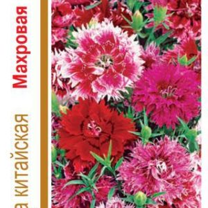 Гвоздика китайская махровая*, смесь 0,6 г серия 1+1 Н14