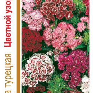 Гвоздика турецкая махровая Цветной узор, смесь 0,8 г сер. 1+1 Н14