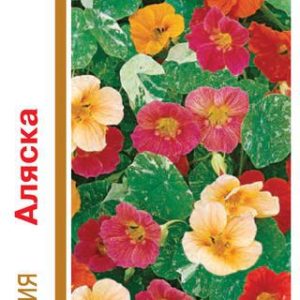 Настурция Аляска, смесь 3,0 г серия 1+1